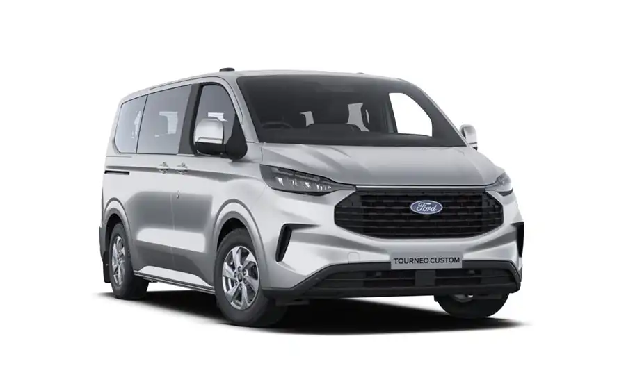Ford Custom Quantum Moondust Silver