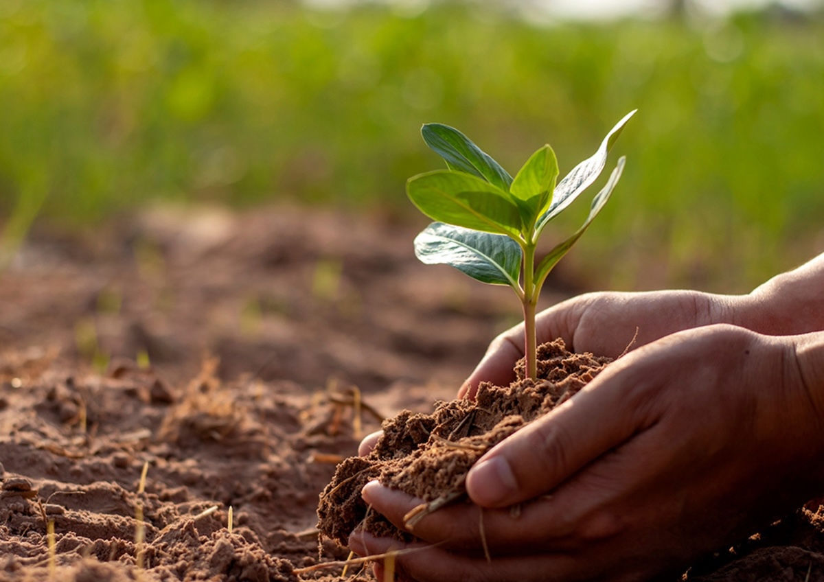 Reducing Environmental Impact